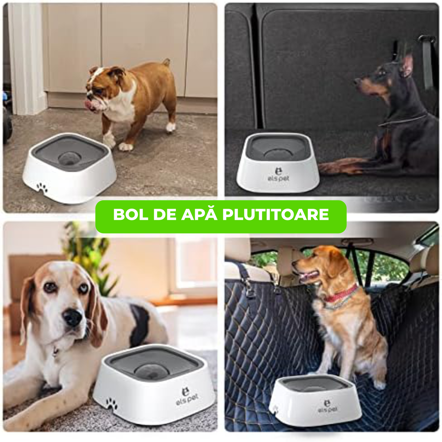 Bol pentru Animale din Fibră de Bambus – Ecologic, Antiderapant, Ușor de Curățat, 15 cm, Alb