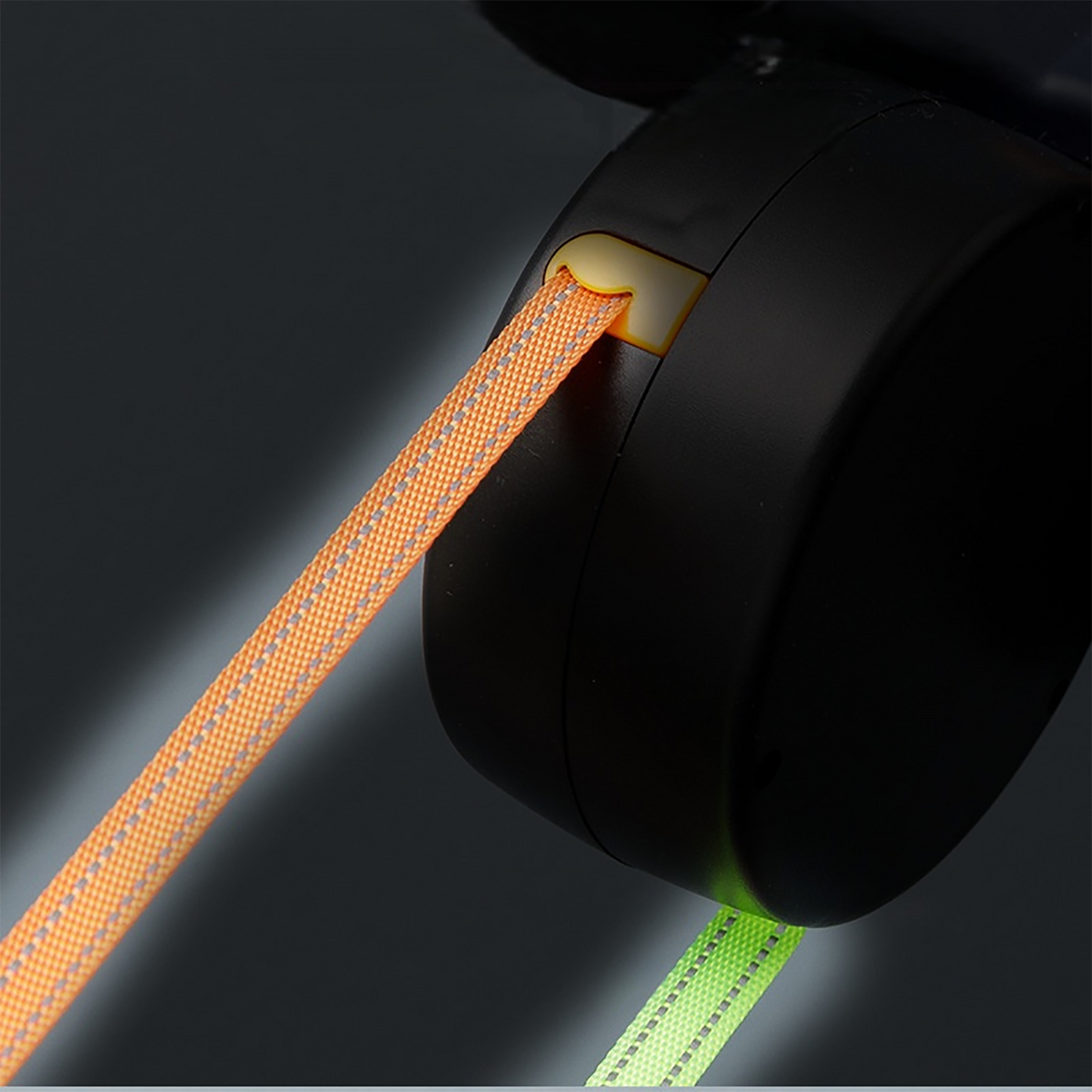 Zgardă ajustabilă pentru câini cu închidere rapidă – material rezistent, design modern